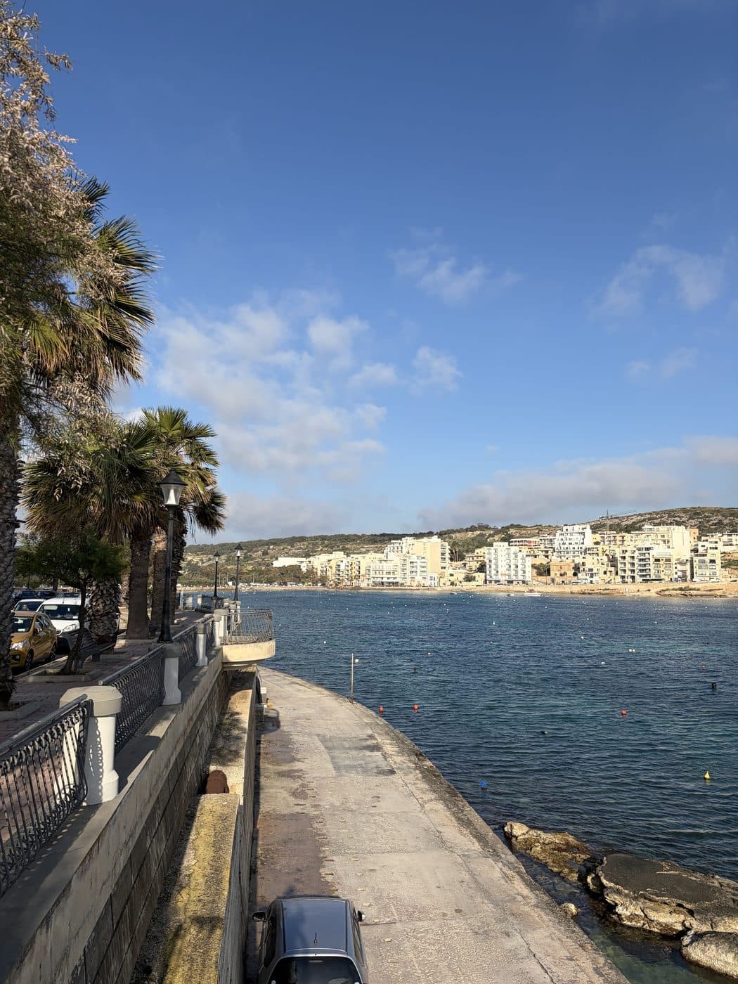 A palm-lined promenade curving around a bay in Malta, limestone towns across the water